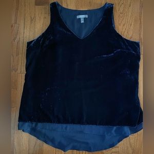 Lisa Rinna Blue Velvet shirt